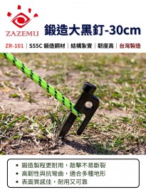 ZR101R