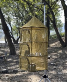 messageImage_1702606954280