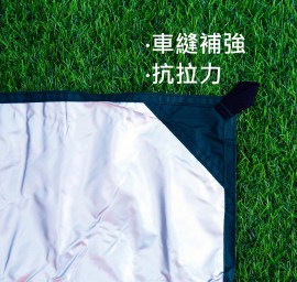 補強綠